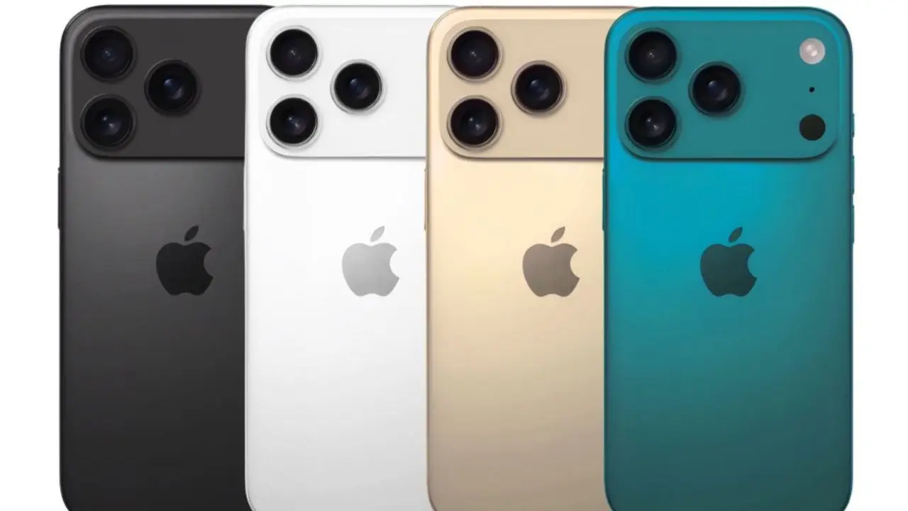 New Color Options